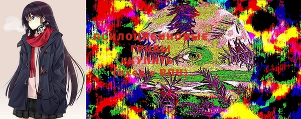 твердый Абдулино