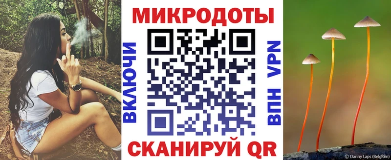 что такое Новоаннинский kraken зеркало Псилоцибиновые грибы мицелий